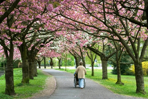 AtlantawheelchairaccessiblehikingtrailsDekalbCobbForsythFultonGwinnettCounties